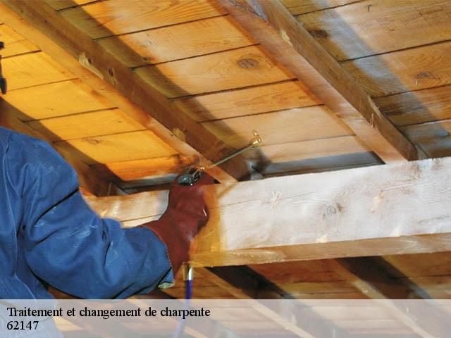 Traitement et changement de charpente  62147